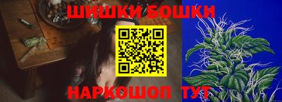 дурь Камышлов